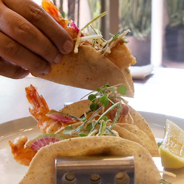 platillo tacos gobernador